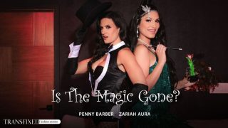 Transfixed – Penny Barber – Zariah Aura – Is The Magic Gone? / 03.07.2024