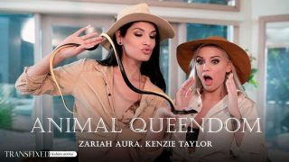 Transfixed – Kenzie Taylor – Zariah Aura – Animal Queendom / 06.03.2024